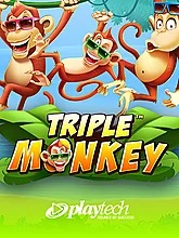 triple-monkey