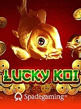 lucky-koi
