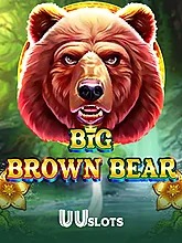 big-brown-bear